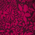 Wild Fuchsia Wild Fuchsia